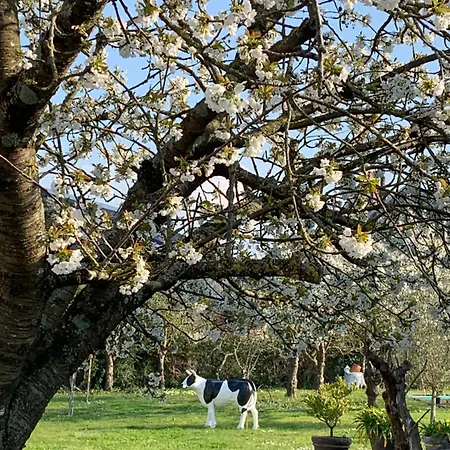 Cathy بيت للعطل