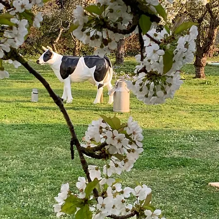 بيت للعطل Cathy *